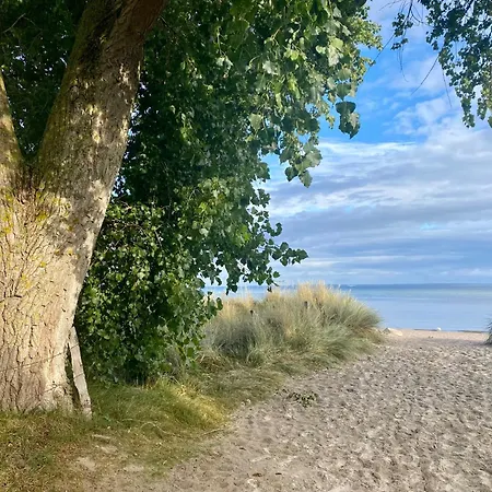 Suedstrand Haus 44 * Pelzerhaken